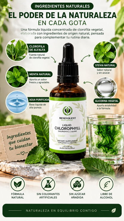 🌿 CLOROFILA LÍQUIDA EN GOTAS