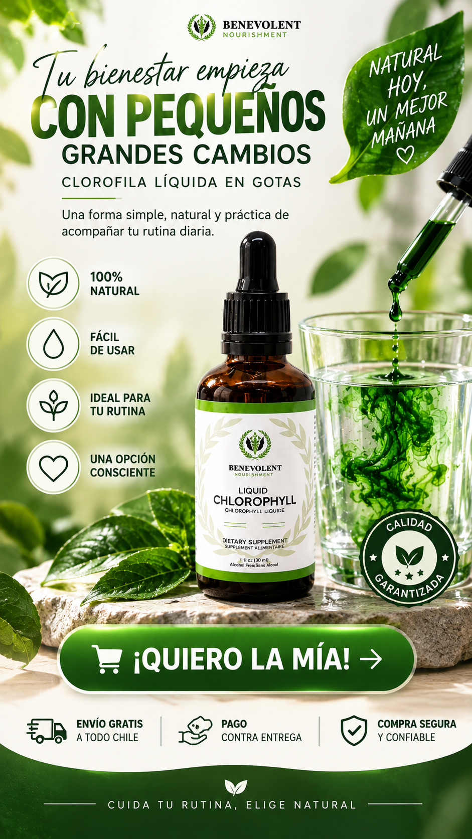 🌿 CLOROFILA LÍQUIDA EN GOTAS